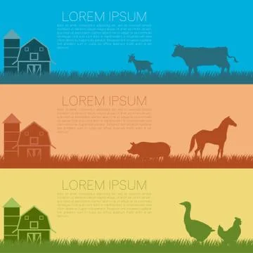 Set of farm banners Stock Illustration