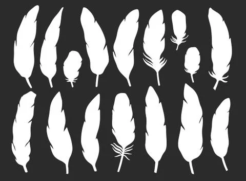 Set feather abstract isolated decoration. Boho rustic style. Stock Illustration