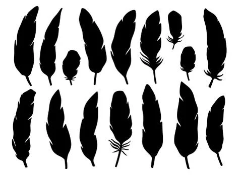 Set feather abstract isolated decoration. Boho rustic style. Stock Illustration