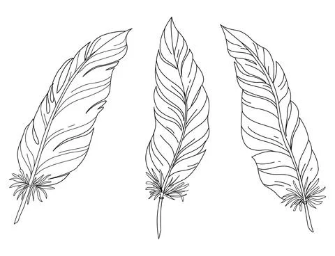Set of feather element Stock Illustration
