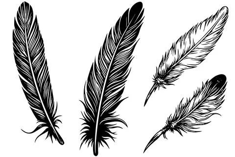 Set of feather engraved in sketch style isolated on white background. Vintage Stock Illustration