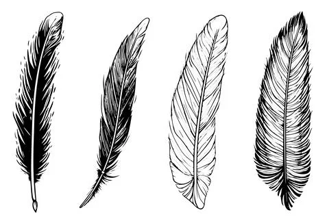 Set of feather engraved in sketch style isolated on white background. Vintage Stock Illustration