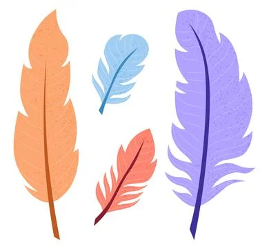 Set of feathers. Indian decoration for clothes. Nib, plume and peacock Stock Illustration