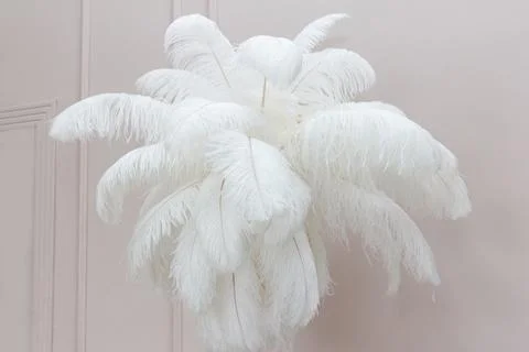 Set of feathers, large white and fluffy hangs in weightlessness in room as .. Stock Photos