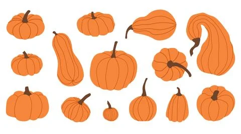 Set featuring vibrant orange pumpkins, perfect for autumn and Halloween the.. Stock Illustration
