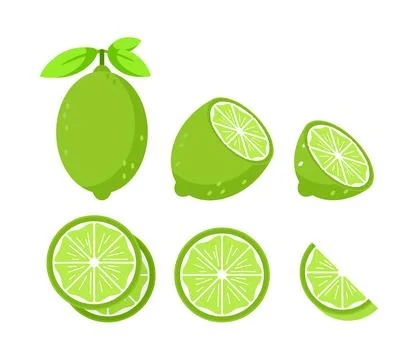 Set featuring whole and sliced lime fruits with leaves and flowers Illustrazione stock
