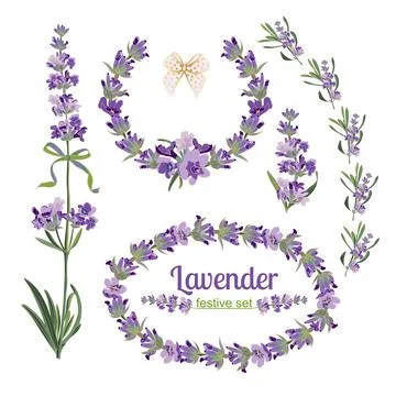 Set festive frames and elements with Lavender flowers for 库存插图