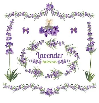 Set festive frames and elements with Lavender flowers for Stock Illustration