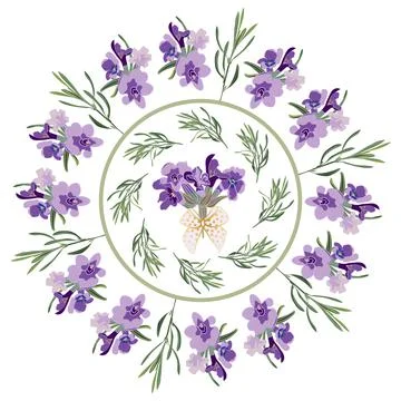 Set festive frames and elements with Lavender flowers for 库存插图