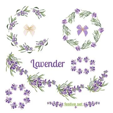 Set festive frames and elements with Lavender flowers for 库存插图