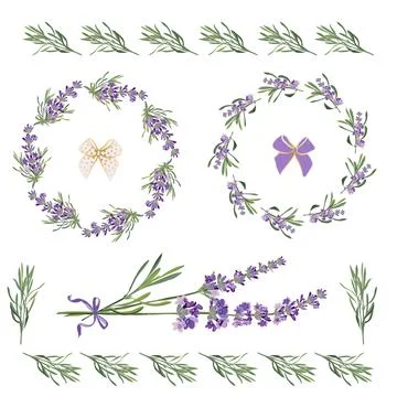 Set festive frames and elements with Lavender flowers for 库存插图