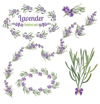 Set festive frames and elements with Lavender flowers for Stockillustratie