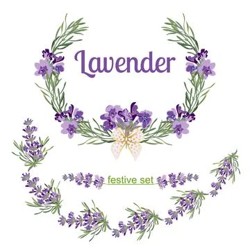 Set festive frames and elements with Lavender flowers for 库存插图