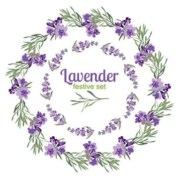 Set festive frames and elements with Lavender flowers for 库存插图