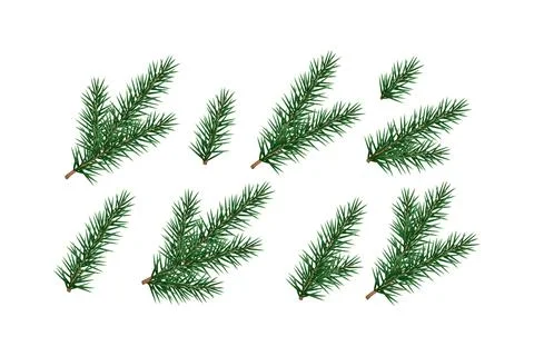 Set of fir branches, pine, conifer. Stock Illustration