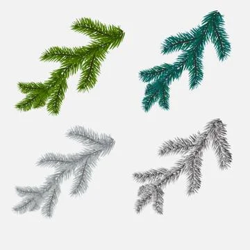 Set of fir, pine branches isolated on white background. illustration Stock Illustration