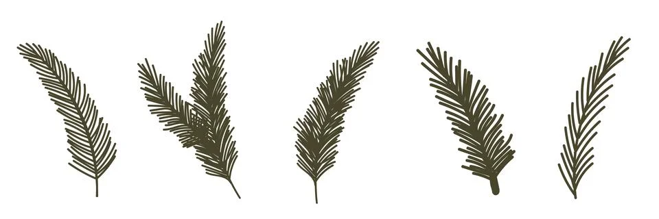 Set of fir tree branches. Vector Christmas illustration. Xmas and New Year green Stock Illustration