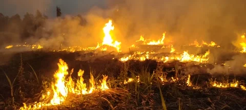 Set on fire Vídeos de archivo 238695974