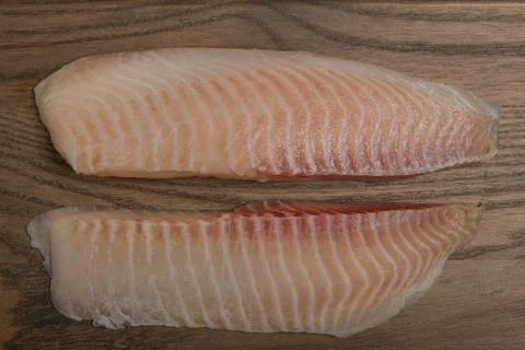Set of Fish Fresh Fillets Stock Photos