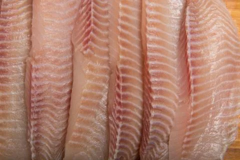 Set of Fish Fresh Fillets Stock Photos