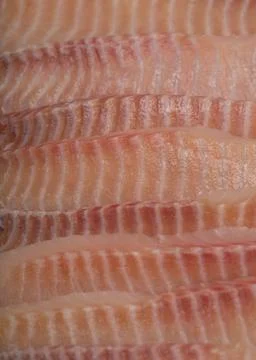 Set of Fish Fresh Fillets Stock Photos