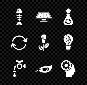 Set Fish skeleton, Solar energy panel, Garbage bag with recycle, Water tap, L Stock Illustration