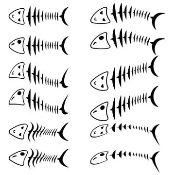A set of fish skeletons. Illustrazione stock