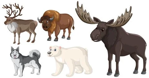 Set of five cartoon animals including moose, bison, reindeer, polar bear, and Stock Illustration