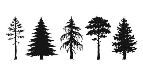 Set of five different evergreen forest tree silhouettes with evergreen trees Illustrazione stock