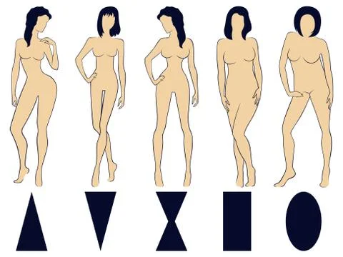 Set of five female figure types with conditional schemes Stock Illustration