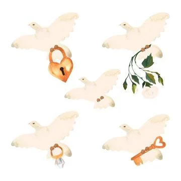 Set of five flying white doves with white roses, golden key and lock. Symbol of Stock-Illustration