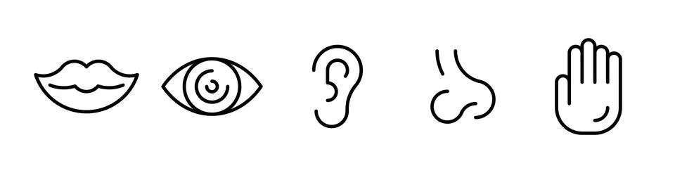 Set of five human senses Stock Illustration