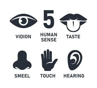 Set of five human senses. Vision, hearing, smell, taste and touch. Vector Stock-Illustration