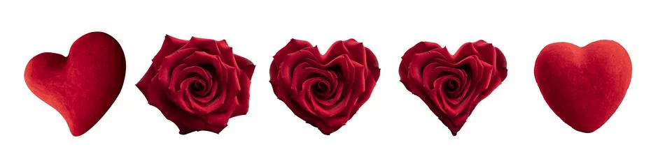 A set of five isolates in the form of a heart , a rosebud and a rose heart on a Stock Photos