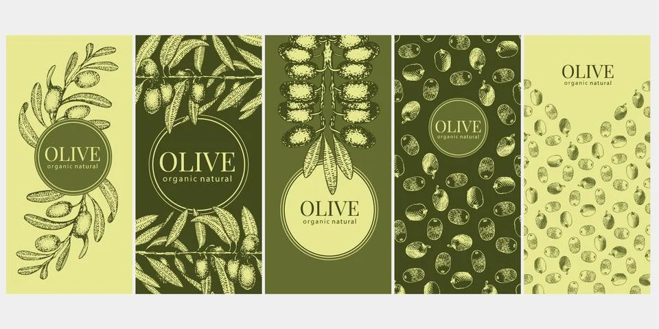 Set of five labels with olive branches. Great for traditional, organic food Stock Illustration