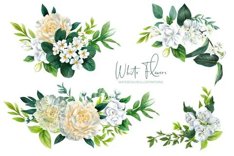 Set of five lush white floral bouquets Stock Illustration