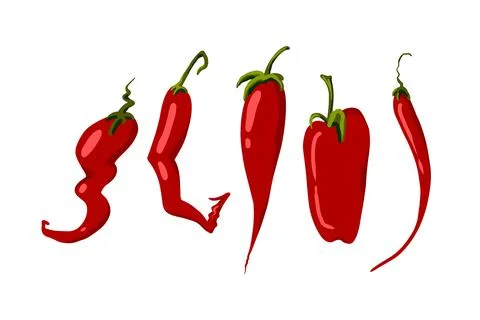 Set of five vector hand drawn chili peppers Stock Illustration
