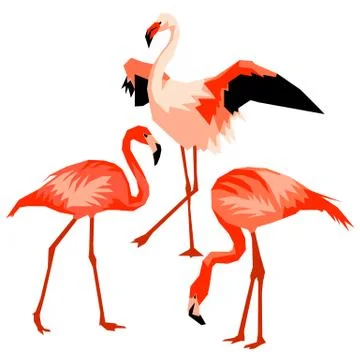 Set of flamingo. Tropical bright abstract birds 스톡 일러스트