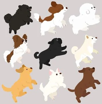 Set of flat colored adorable and fluffy dogs jumping Stock Illustration