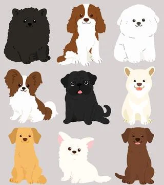 Set of flat colored adorable dogs sitting in front view Stock Illustration