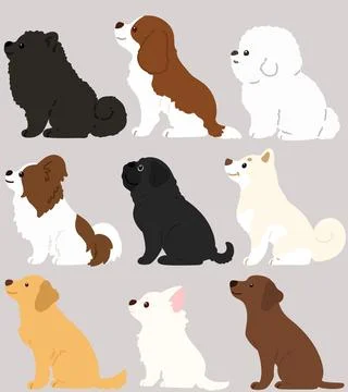 Set of flat colored adorable dogs sitting in side view Stock Illustration