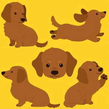 Set of flat colored adorable red Miniature Dachshund illustrations Stock Illustration