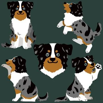 Set of flat colored Australian Shepherd illustrations Stock Illustration