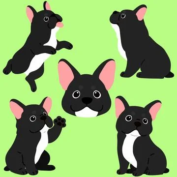 Set of flat colored black colored French Bulldog puppy illustrations Stock Illustration