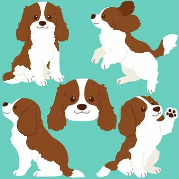 Set of flat colored Brown Cavalier King Charles Spaniel illustrations Stock Illustration