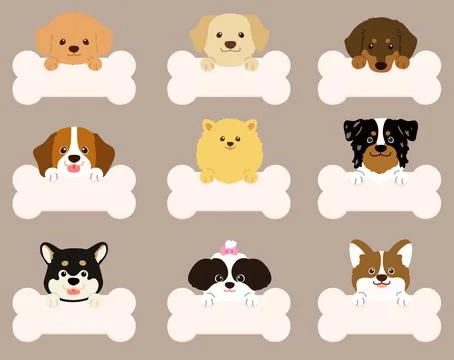 Set of flat colored cute and simple dog heads with front paws holding a bone Stock Illustration