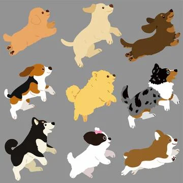 Set of flat colored cute and simple dog jumping and playing Stock Illustration
