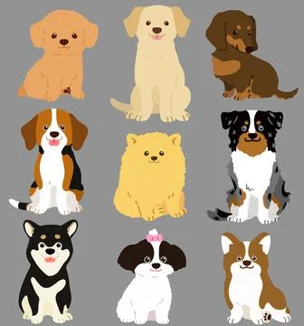 Set of flat colored cute and simple dog sitting in front view Stock Illustration