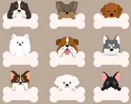 Set of flat colored cute and simple dog heads with front paws holding a bone Stock Illustration