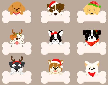 Set of flat colored dog face Christmas illustrations with paws holding a bone Stock Illustration